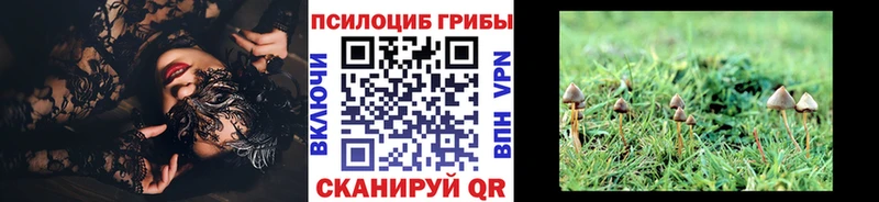 магазин продажи наркотиков  это официальный сайт  Псилоцибиновые грибы Psilocybine cubensis  Неман 